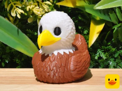 Bald Eagle Duck