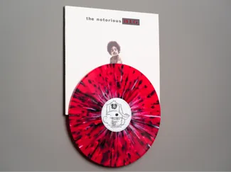Vinyl Record & Album Cover Wall Display
