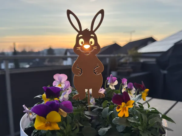 https://makerworld.bblmw.com/makerworld/model/US99eebe82e55ae2/design/0f5b263b2fb98f25.jpg