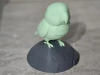 0.16mm layer, 2 walls, 8% infill