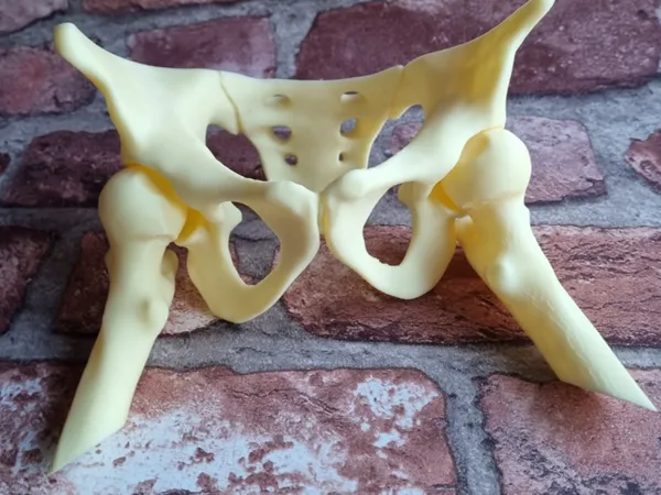 https://makerworld.bblmw.com/makerworld/model/US99f522b7aae3d8/design/2025-03-20_2b1cc6971d7b5.jpg