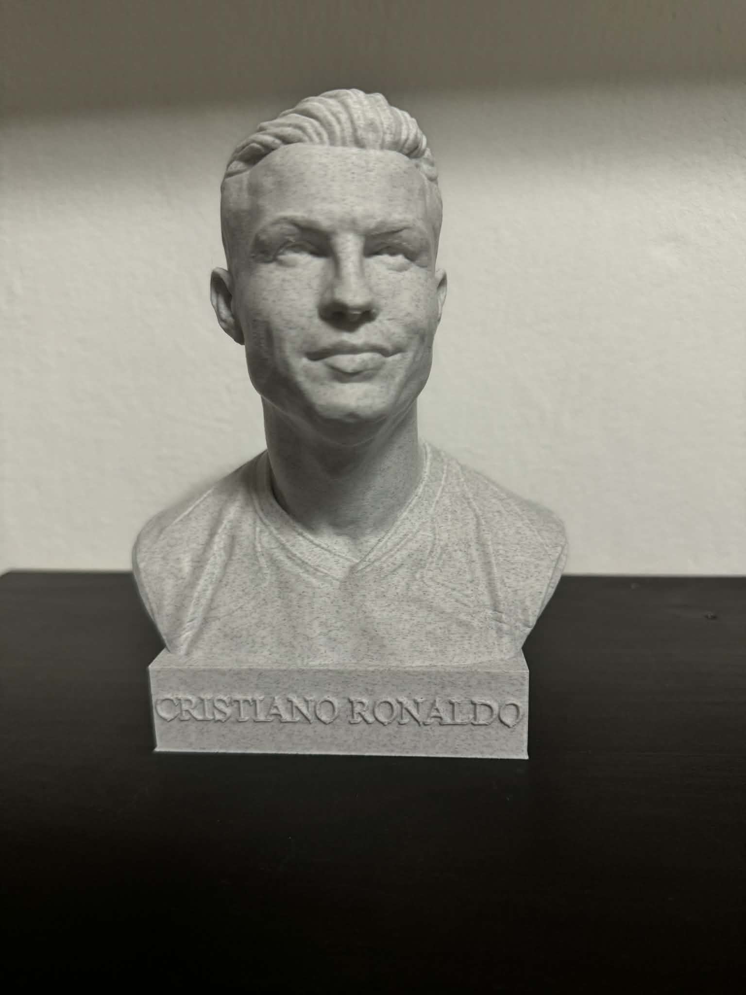 0.2mm layer, 2 walls, 10% infill 20cm
