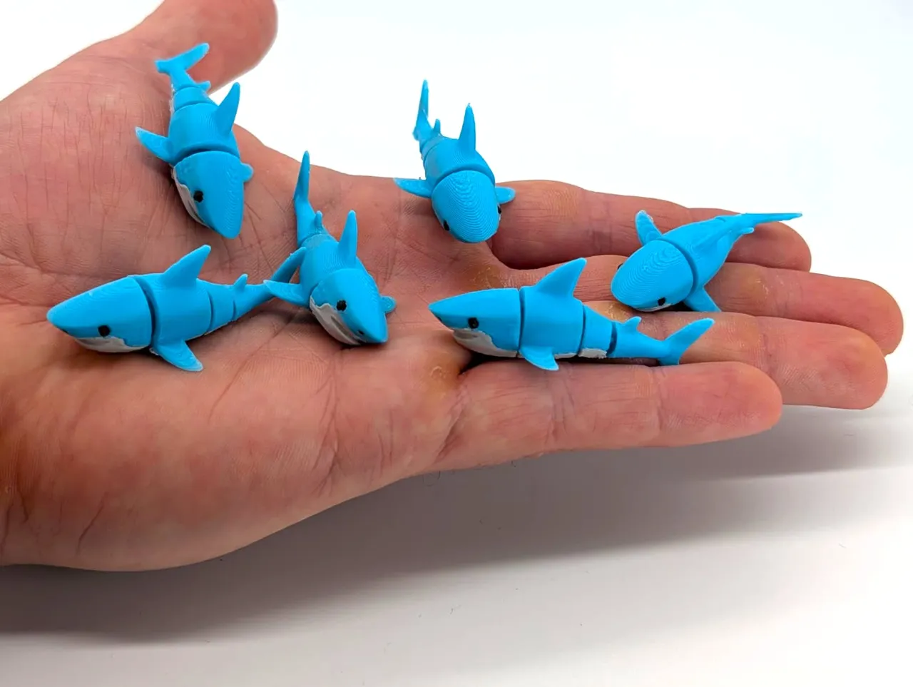 Tiny Shark view 2