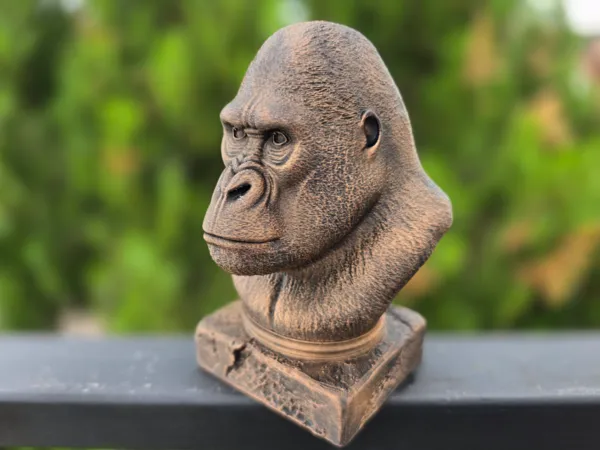 https://makerworld.bblmw.com/makerworld/model/US99fd9eefeedc8a/design/2025-06-06_de56ae4e0b49d.jpg