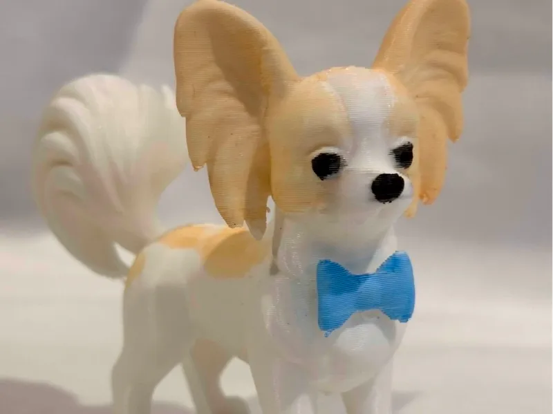 Papillon Dog with bowtie