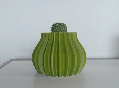 Cactus Pot - Echinocactus Grusonii