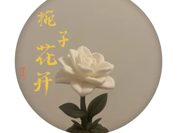 https://makerworld.bblmw.com/makerworld/model/US9a0da0009a5e50/design/2025-10-28_c71e0620f4c5c.jpg