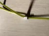 0.28mm layer, 2 walls, 15% infill