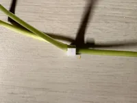 0.28mm layer, 2 walls, 15% infill