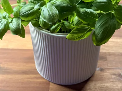 KANNA Planters S/M/L — Removable Water Liner 