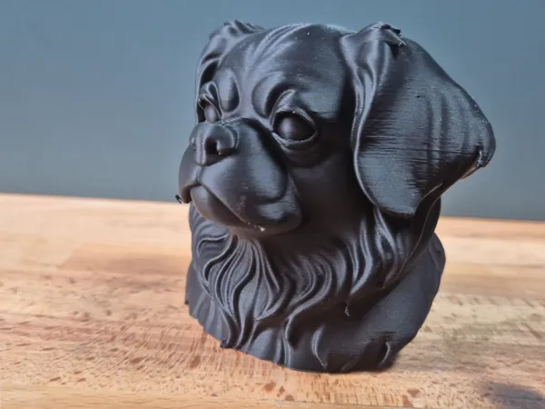 https://makerworld.bblmw.com/makerworld/model/US9a11bce430c859/design/2025-06-01_d9b5db7a01ba2.jpg