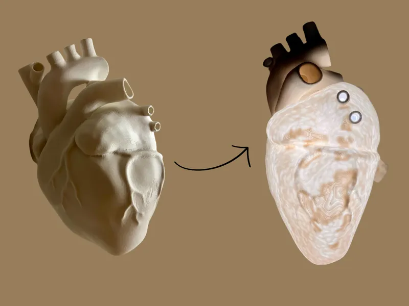 Anatomical Heart Lamp