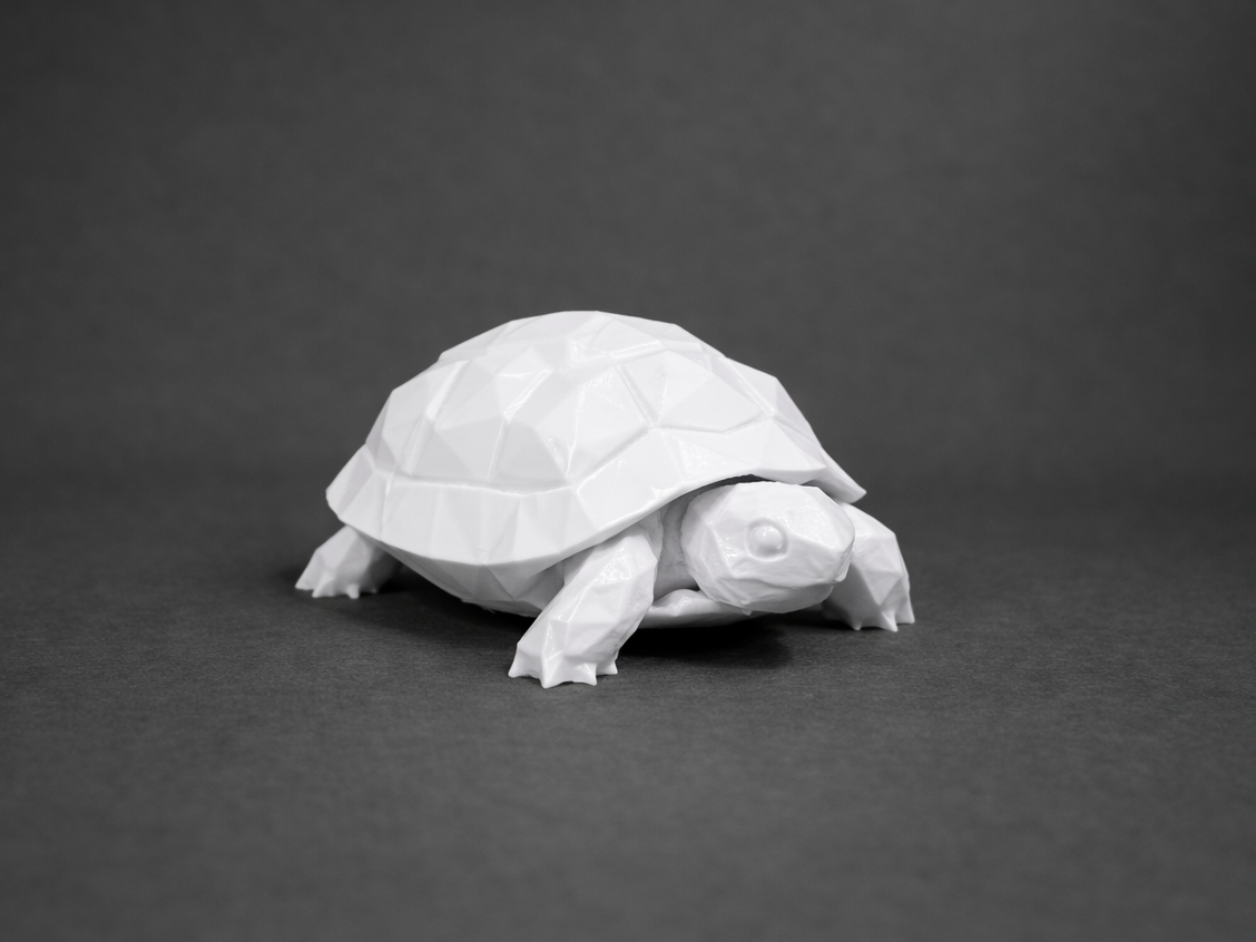Turtle / Tortoise - Low Poly - Animal