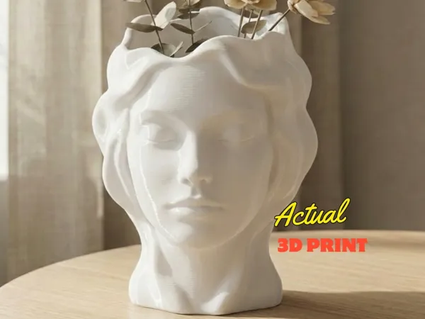 https://makerworld.bblmw.com/makerworld/model/US9a170c37d46214/design/2026-01-08_c7e00c6114edf.jpg