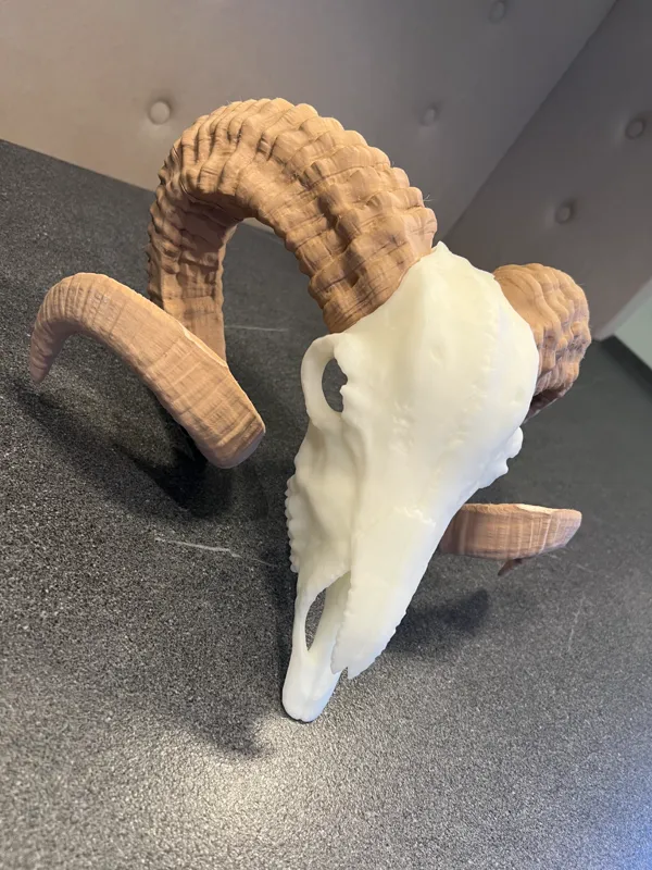 https://makerworld.bblmw.com/makerworld/model/US9a17a1f3d7882a/design/2024-01-09_1fe813e412703.jpg