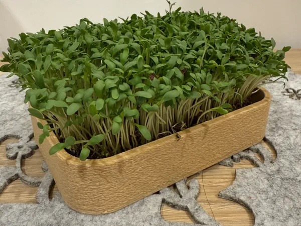 https://makerworld.bblmw.com/makerworld/model/US9a18dc021137c1/design/2025-04-20_63fbefa0ddeb1.jpg