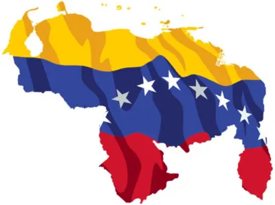 Nueva base DV