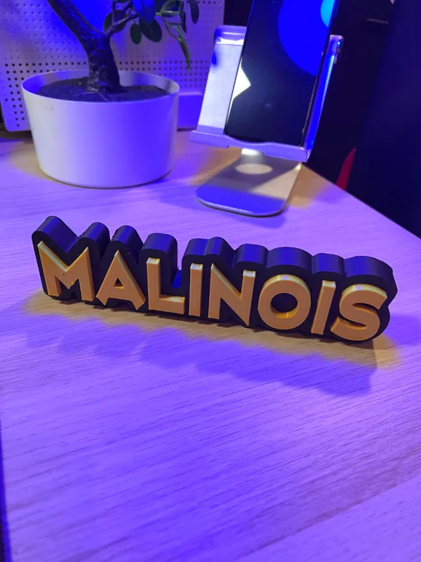https://makerworld.bblmw.com/makerworld/model/US9a20334cd62964/design/2023-11-10_d54f20159154a.jpeg