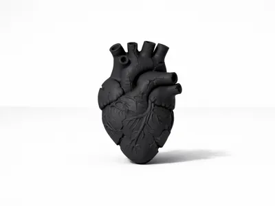 Anatomical Broken Heart Magnet