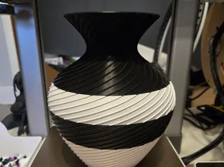 Black and white vase