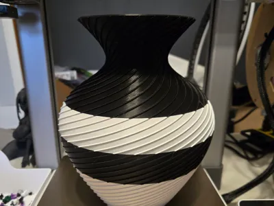 Black and white vase