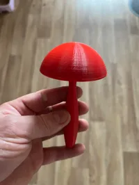 Champignon à repriser les chaussettes — photo 2