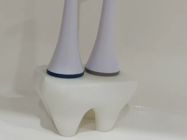 Tooth shower head holder