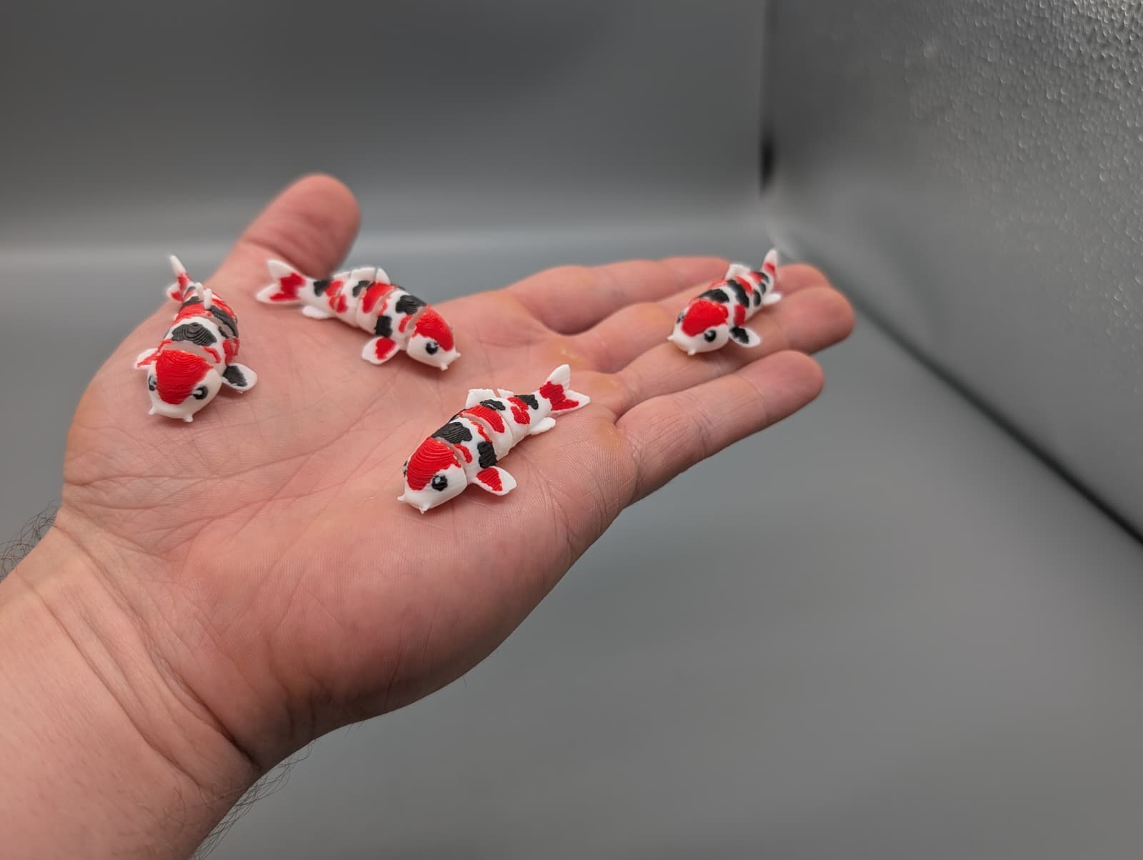 Miniatura 3 do modelo 3D Tiny Koi