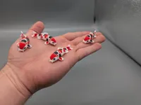 keychain version