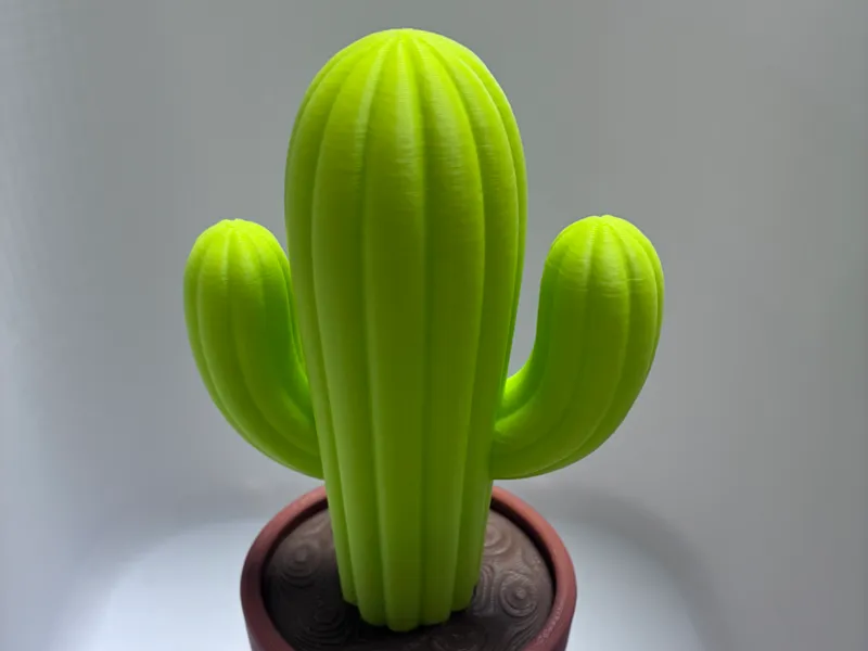 Moderner Kaktus im Blumentopf – Stylische 3D Deko