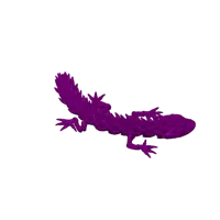Lézard magnétique articulé — photo 4