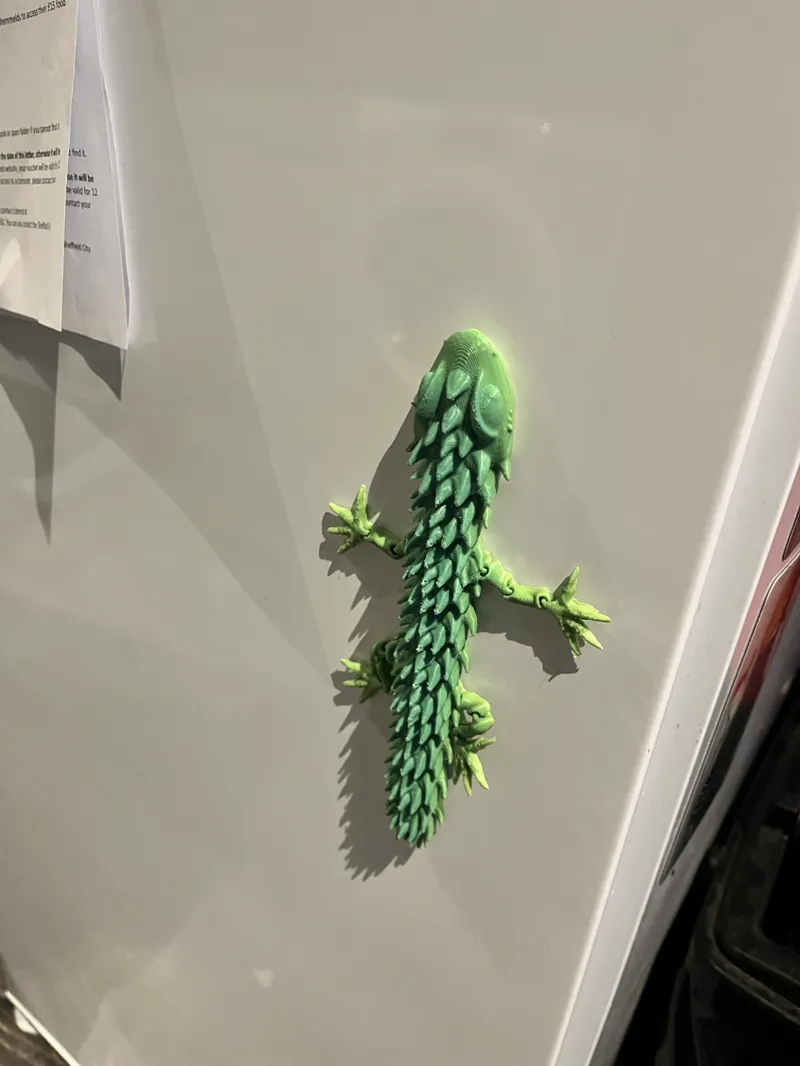 magnet flexi lizard
