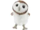 tiny owl