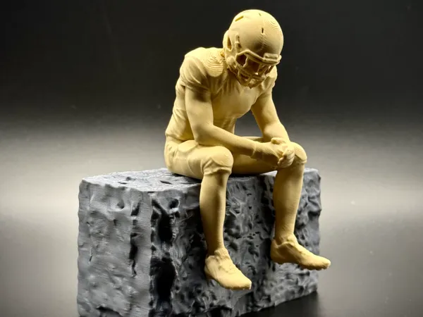 https://makerworld.bblmw.com/makerworld/model/US9a3b91202b1652/design/6aa3f0c5d43efbc2.jpeg