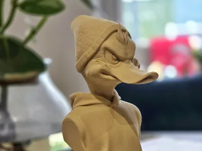 What a Ducky Duck???