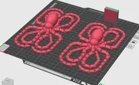 2 octopus on 1 plate