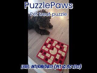 PuzzlePaws - Intermediate - Pet treat puzzle
