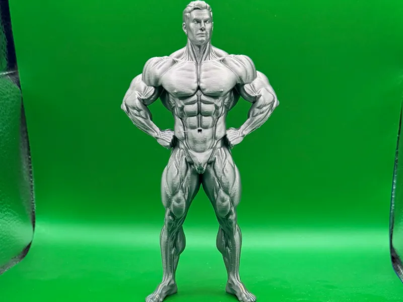 Bodybuilding - Classic Front Lat Spread