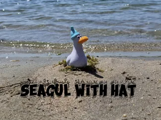 Seagull with a hat