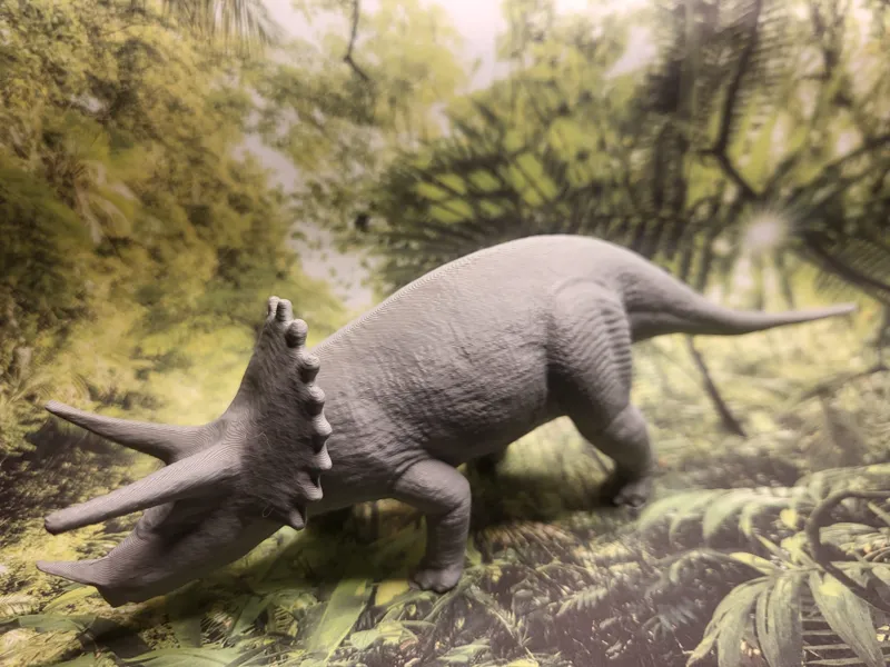 Triceratops 