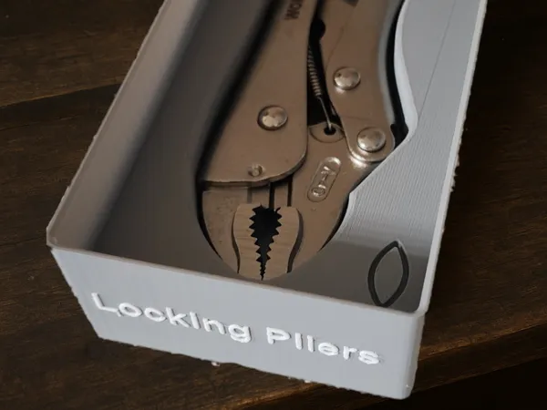 https://makerworld.bblmw.com/makerworld/model/US9a4de29b1c0c75/design/2025-05-06_2d16bd14f71f2.png