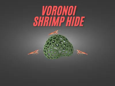 voronoi shrimp hide