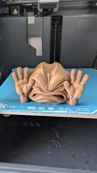 Window Geodude - P1S