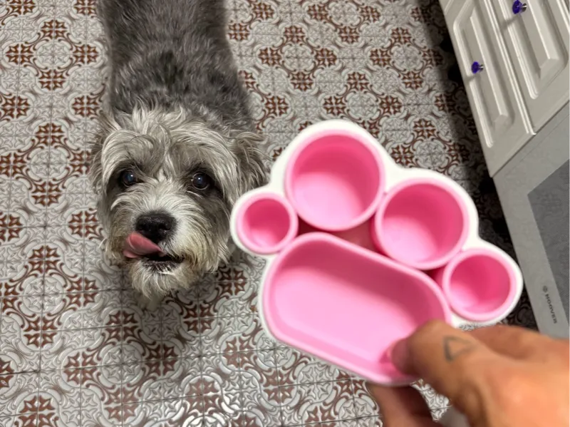 Tupperpet Delicious tupper for pets picnic . 5 can