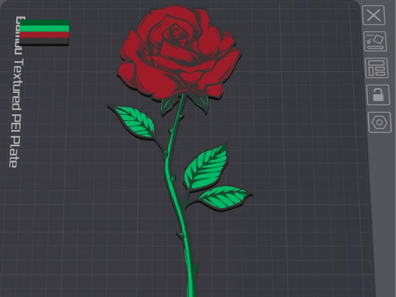 Rosa