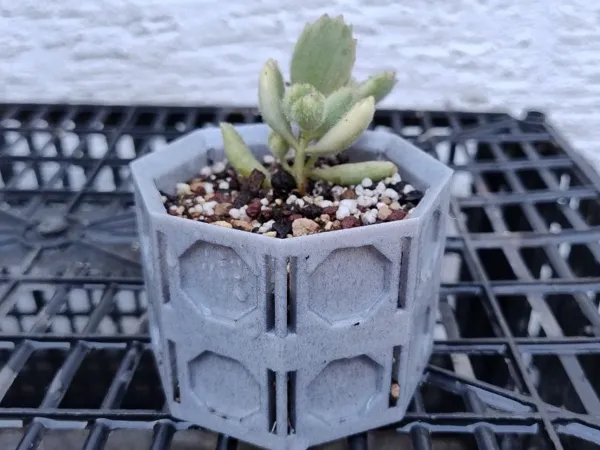 https://makerworld.bblmw.com/makerworld/model/US9a81440dbd3a22/design/2025-03-05_a70ae2dcd2be2.jpg