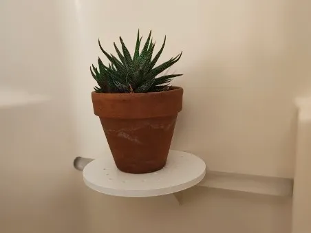 Shower Potted Plant Stand Caddy