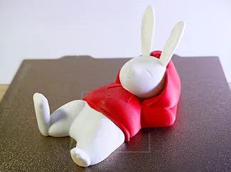 Bunny in a Hoodie