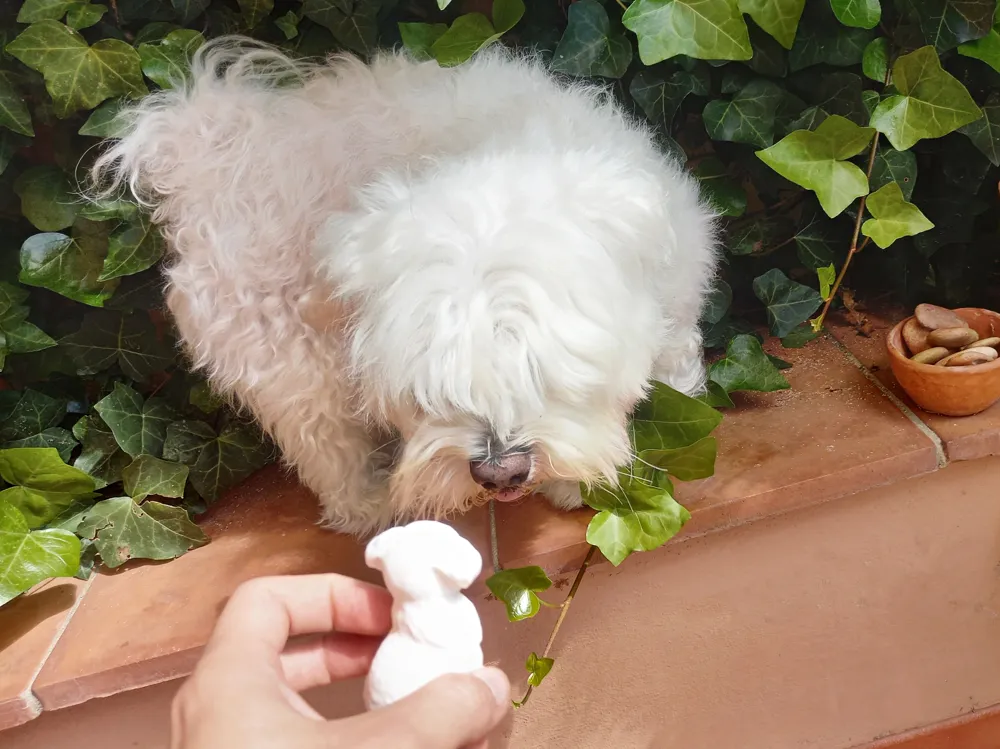 Dekorative kleine Hundefigur zum Sammeln, besonderes Design, Geschenk