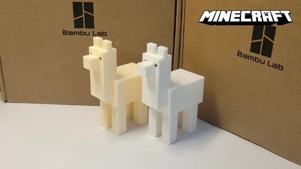 https://makerworld.bblmw.com/makerworld/model/US9a8ae3b3337bee/design/2024-03-26_00d2b19d22f38.png